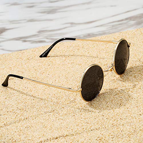  Pro Acme Small Round Polarized Sunglasses for Men